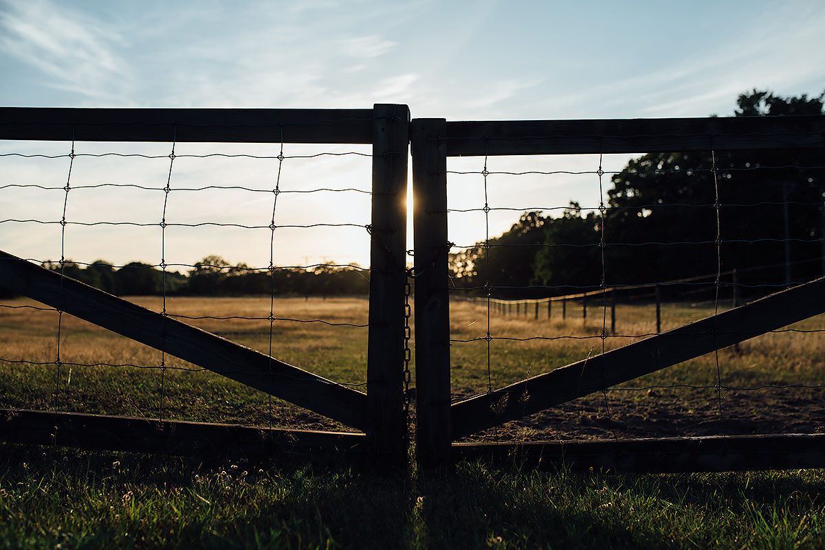 at the gates