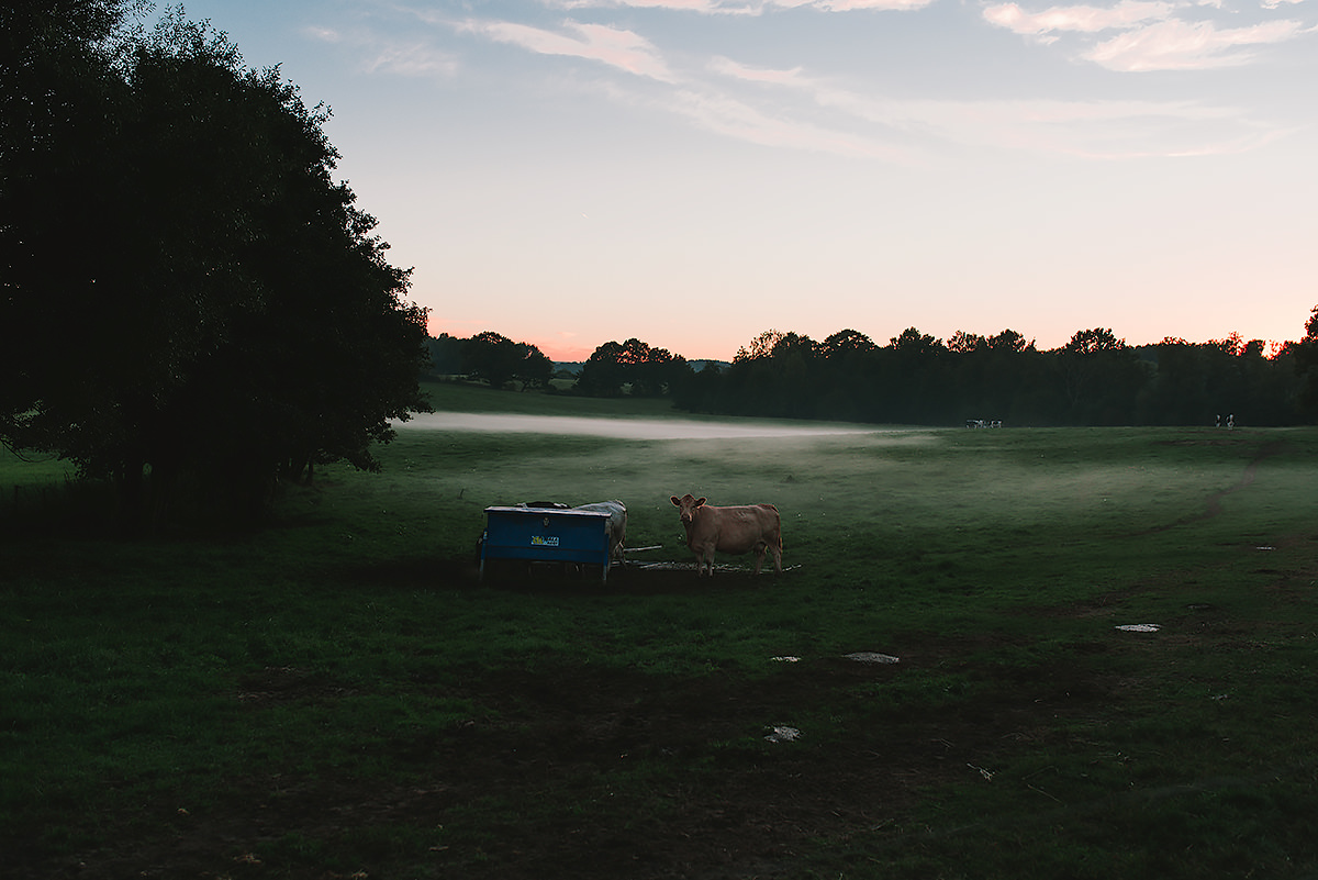 mist