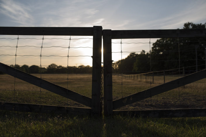 At the gates