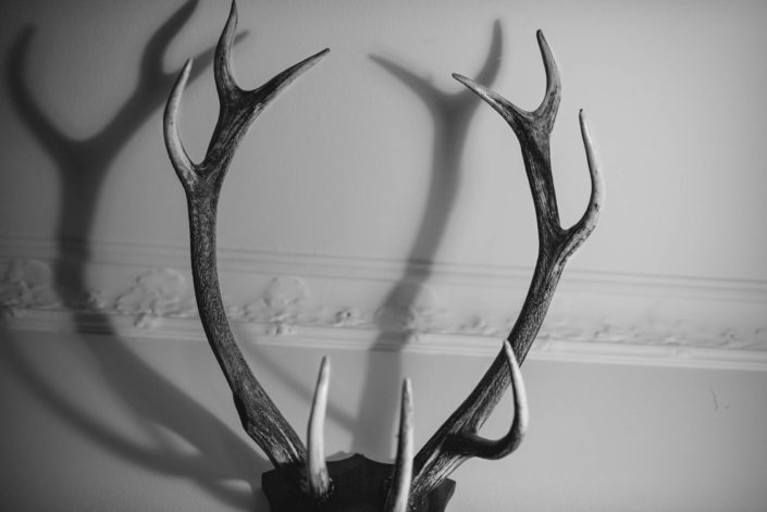 Antlers